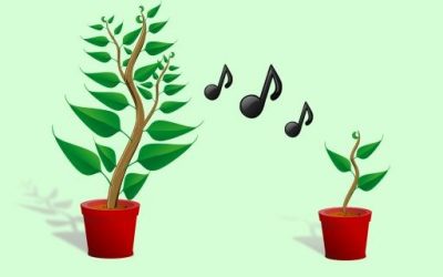 Music of the Plants – A Healing Sound