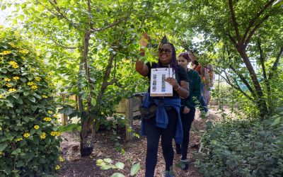 3rd Annual Harriet Tubman Freedom Bird Watch – Juneteenth Celebration Part II