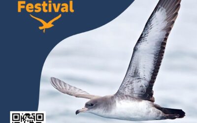 WorldBeat Center Takes Flight at the 2026 San Diego Bird Festival