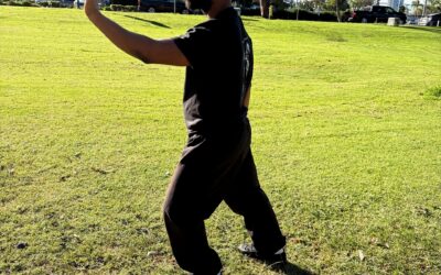 Taoist Art of Lee Style Tai Chi Ch’uan